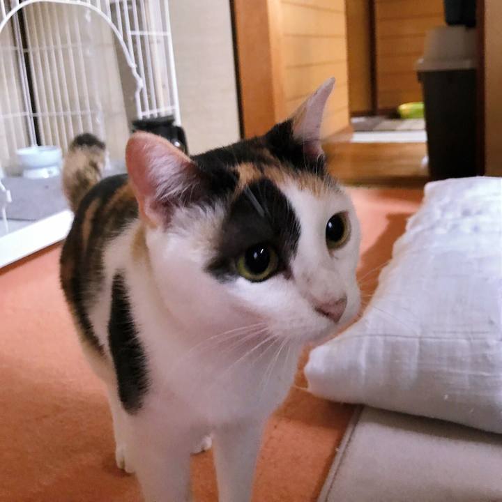 26ed1035 4016 4559 83fe 2f78285f5fe4