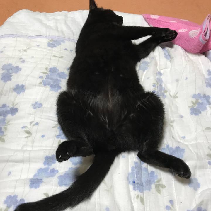 26ee16a8 be77 425f b7ec 384aa97775a4