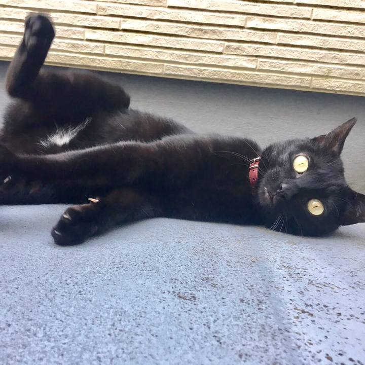 26ee1829 43db 455d b8ca 528ff65ff8be