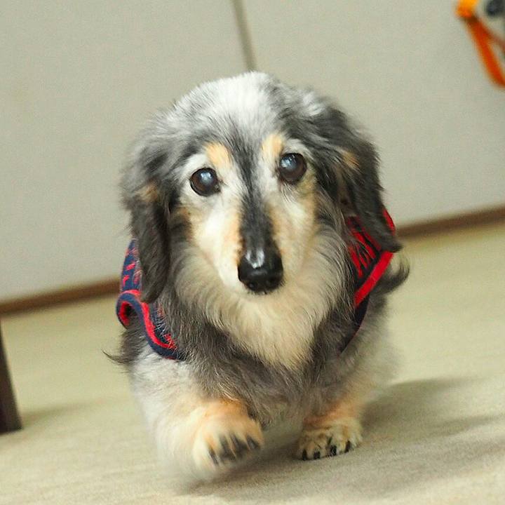 26eeff4d 2e62 4fd1 bff2 9f7977760f87