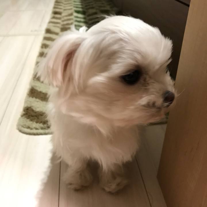 26ef2c8b 7be9 4875 9b51 5271035ed48c