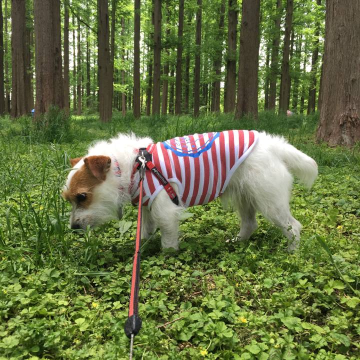 26ef9c38 3025 4dd0 85b6 d7428e037579