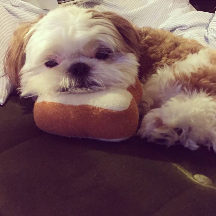 26f0dfd8 0142 4faa 82e6 0082beed7542