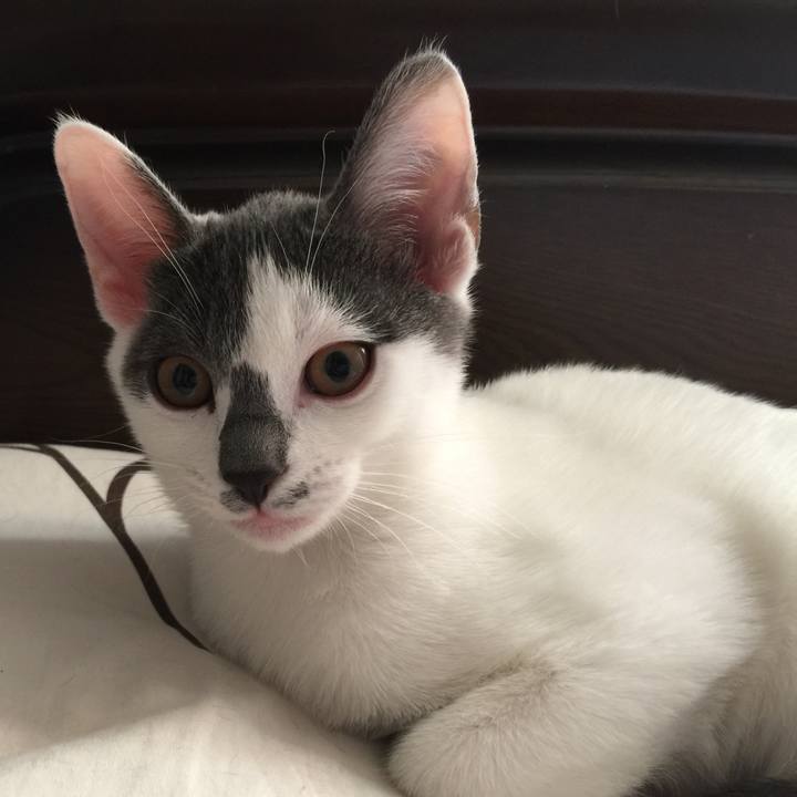 26f1c5ba 7c18 46df ad05 7d6807076e15