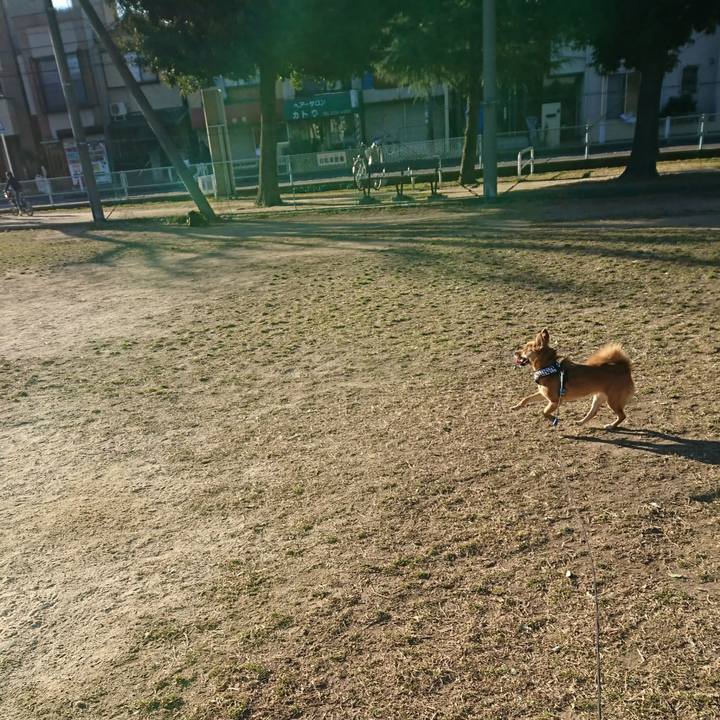 26f28247 5149 4820 9a3d a75707793158