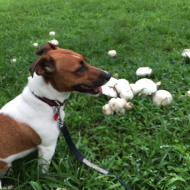 26f2b898 27b5 4afd 8b10 f33731978e18