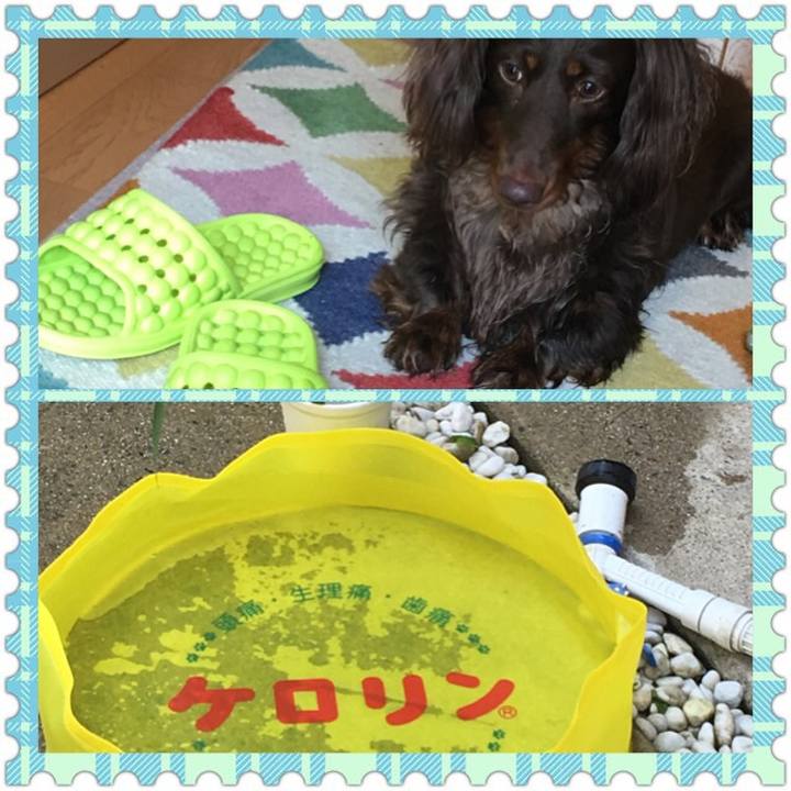 26f2ce64 5ef5 4ee7 9a72 34061716cea6