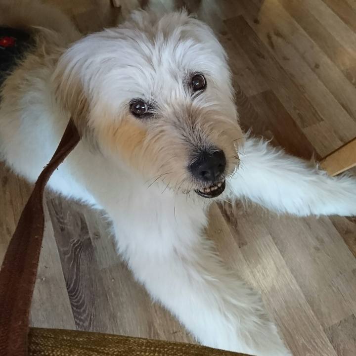 26f30d0f 9a49 48d8 9a97 d9b197cc9797