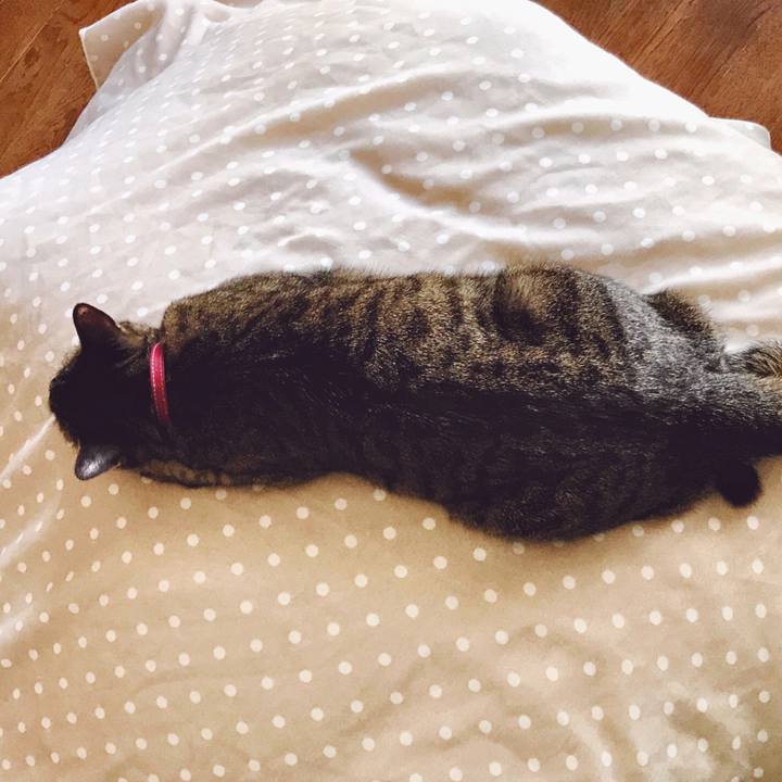 26f3f2c5 1e1f 44ca bcaa 24874b472eb3