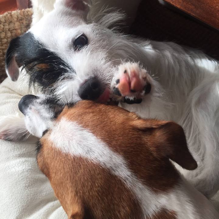 26f48a2f 780b 462d 8e58 a3cdadeb1e62