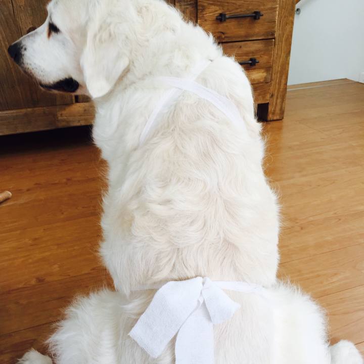 26f49d4e c632 47b3 8846 f2d5d508a2f1