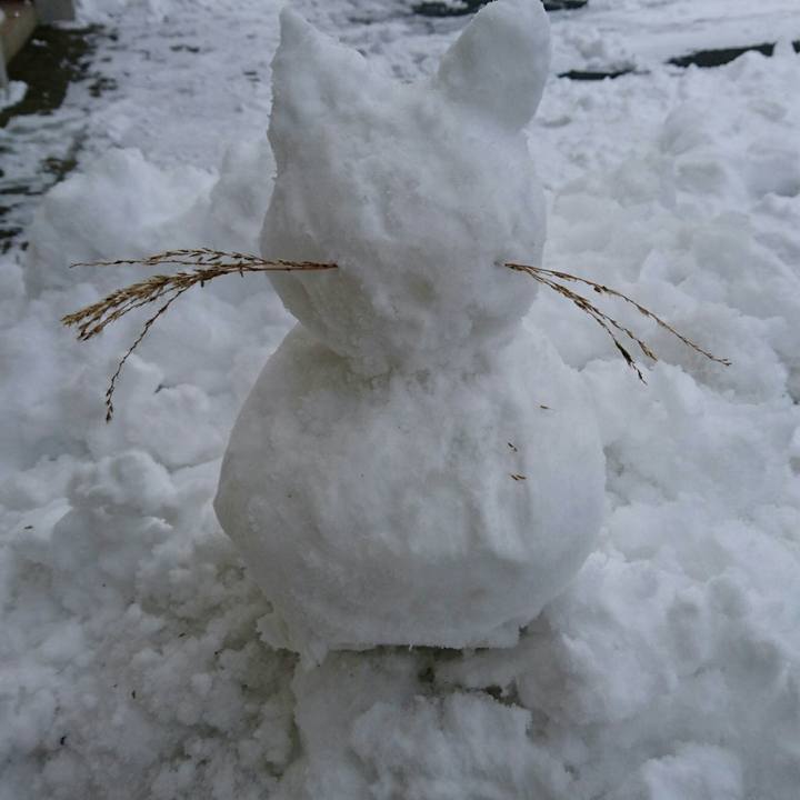 26f4b314 2a53 4d93 9cd3 25dba27310d8