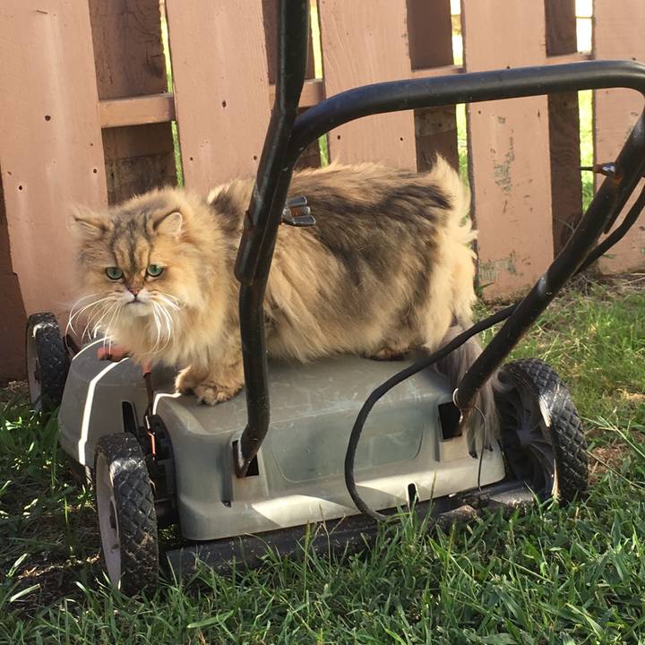 26f4b3d1 4927 4398 a251 fe61f8c470fd