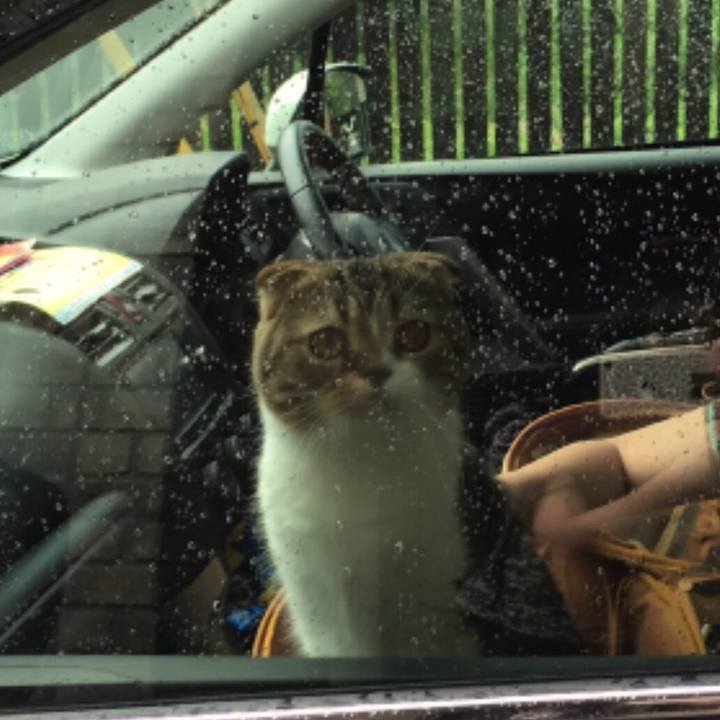 26f4ec22 1d11 42c1 9e21 35c9bb0619f3