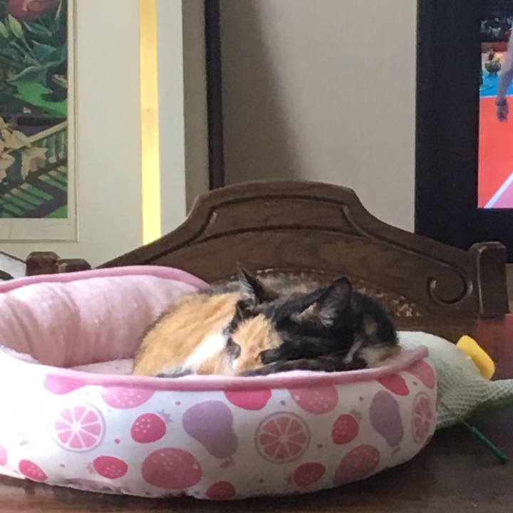 26f5bf6b 6258 454f b5a3 c7524f83d649