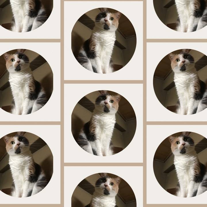 26f5d623 8570 4a0f 9652 305bcb0bf208