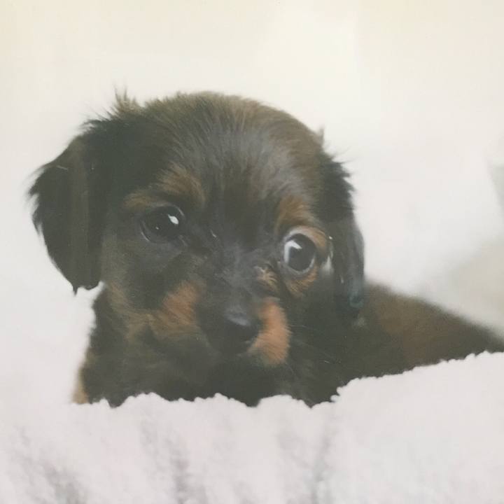 26f5e778 5c07 4d6f b659 328eab9471e4