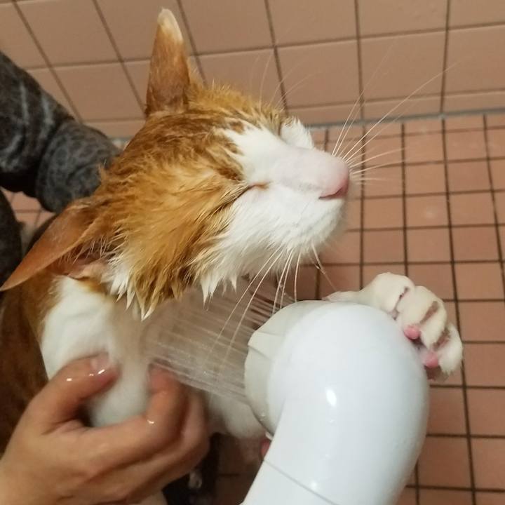 26f7425d 3232 4f0c a8ea 0f6a388713de