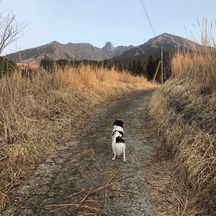 26f748c2 6048 4d6a b87a 63266780794e