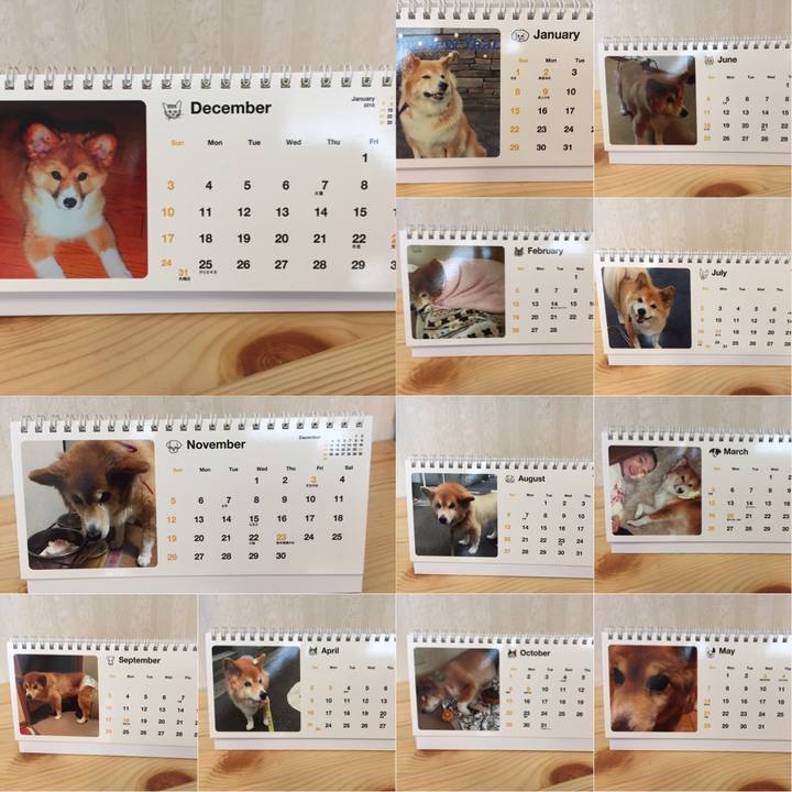 26f7a826 432f 4c18 8426 a17a130b5f7a