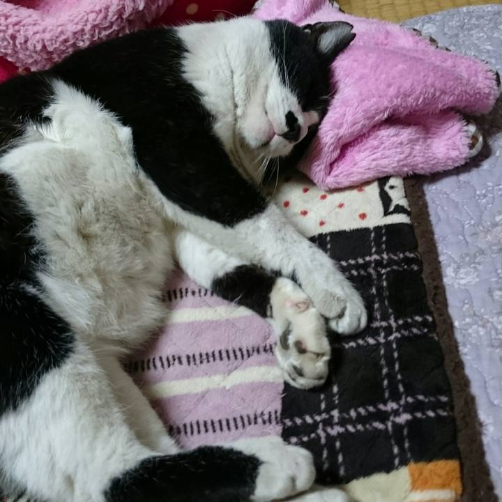 26f7c5fe cd80 43b0 9d28 86466b09a86a