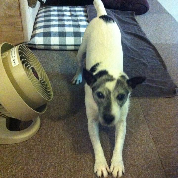 26f8331f cb17 4d9b 871b 6d6c2ef58860