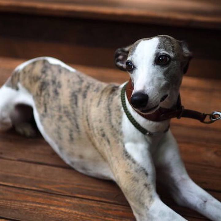 26f85f51 fcd0 48df 9b27 0d1758a8214c