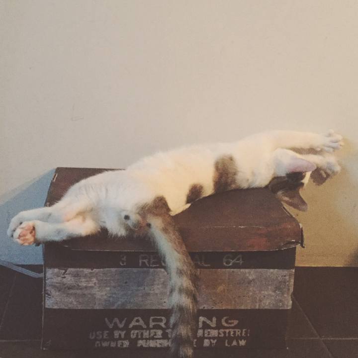 26f86bd1 4217 42e7 966e 00b0c3ac41bf