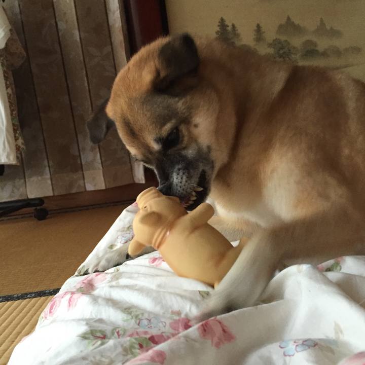 26f87772 1d47 4ebb 86be 3008065a90ec