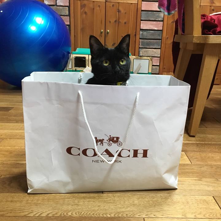 26f9491f 2cdc 40ed a1a1 ecbb36faf73a