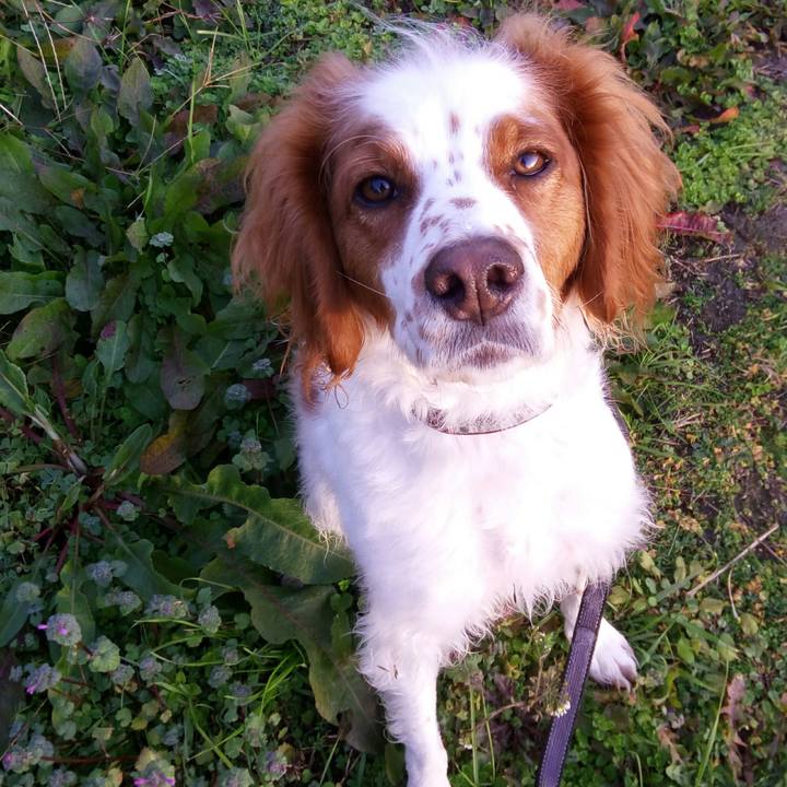 26f95af0 9ed6 42c7 b332 264ad3ffb4da