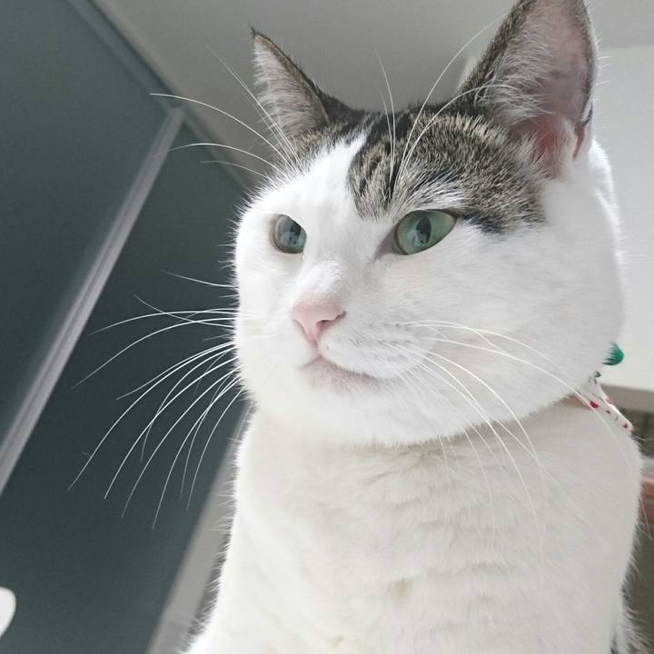 26f9abc6 67b8 47b4 a515 8fcca0b6d0ec