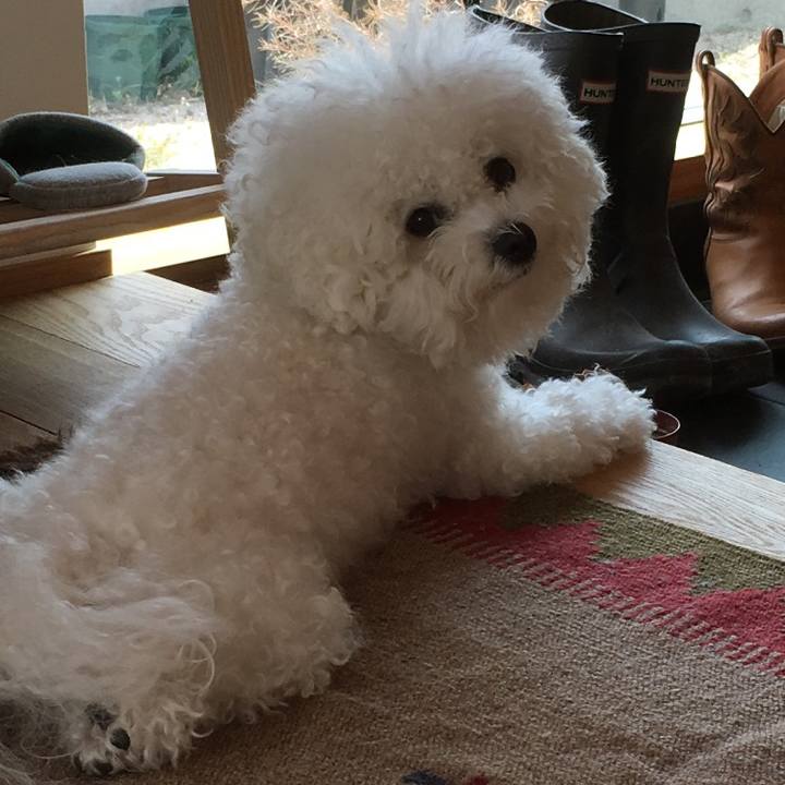 26f9d03a 1a9b 4fcf af4e c1461a128e52