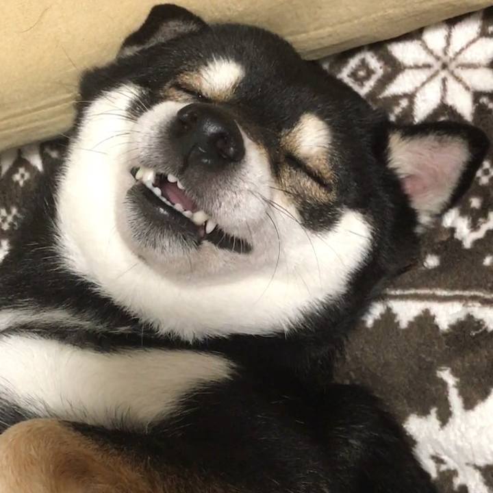 26fa4807 6f29 4983 8176 865f9d00546f