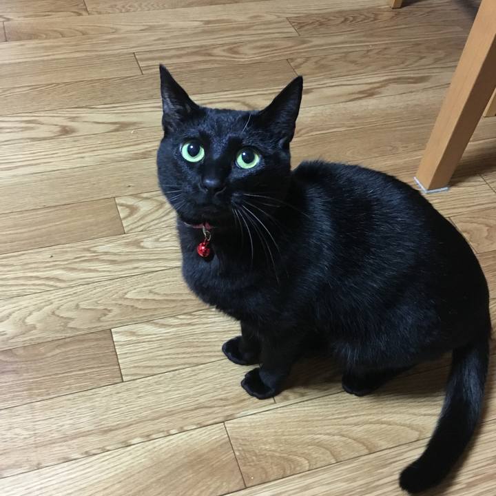 26fa590f d01e 4c2c b3c2 479f86dd2ea7