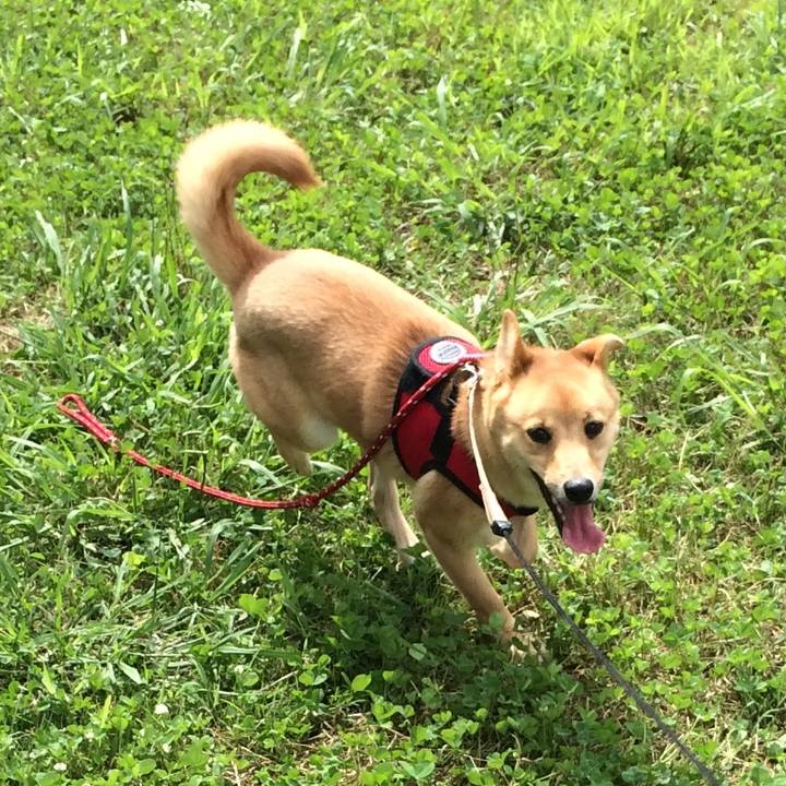 26fa6c6e ea87 4d36 80e7 f09a9cd93a2d