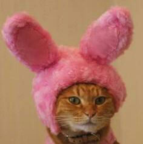 26fa8d67 9632 4c77 b28c 06849c13d761