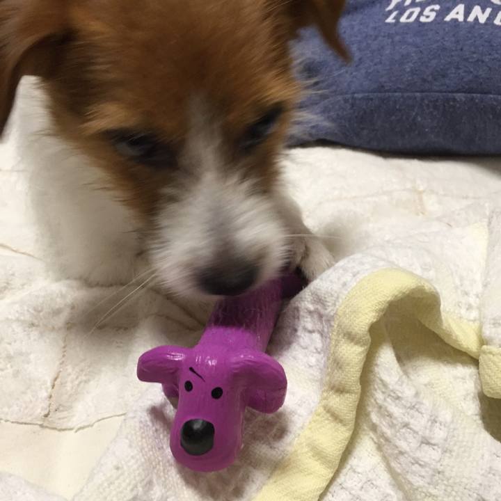 26fb6dcb fe24 4ad7 bf73 e8529c9bddec