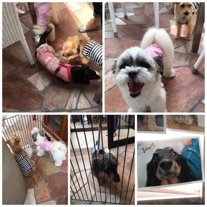 26fc313c fa2d 4069 a8d8 a36083238394