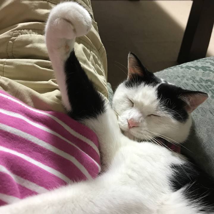 26fc347a bcad 4422 a29a 89fb2d02b1c5