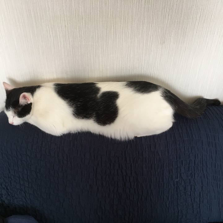 26fc9f25 e0fc 4f93 8c58 3efb598f14b2