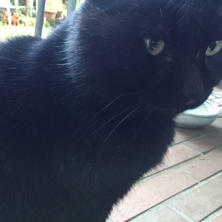 26fcf2b6 53fb 4138 a796 414dfe32bbf8