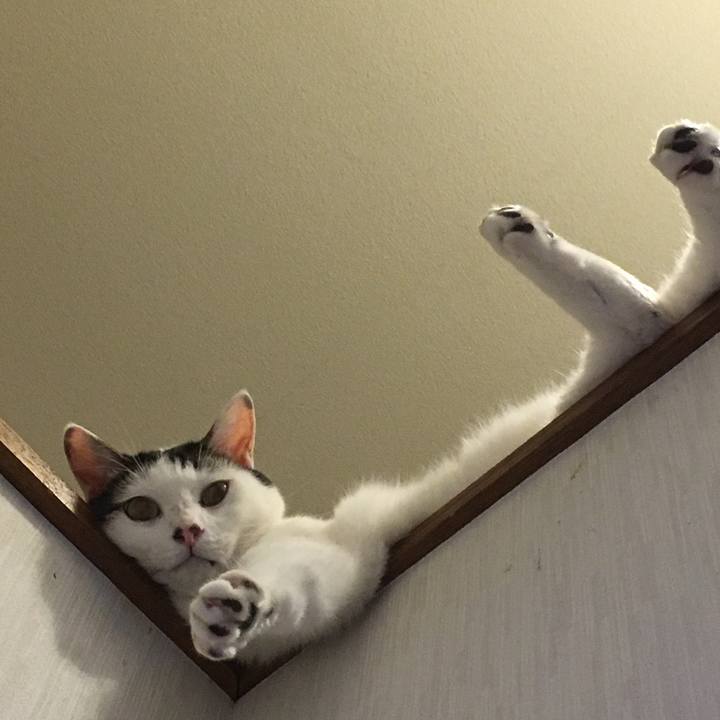 26fde128 b452 4a38 8e4c 91f513ac8c9f