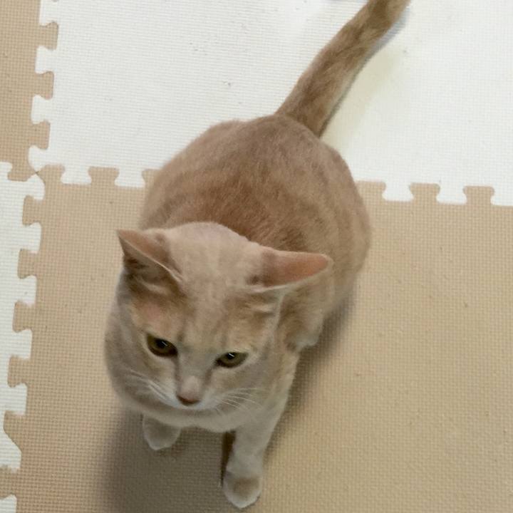 26fe1829 0f67 44be 8515 ab01d6f59425