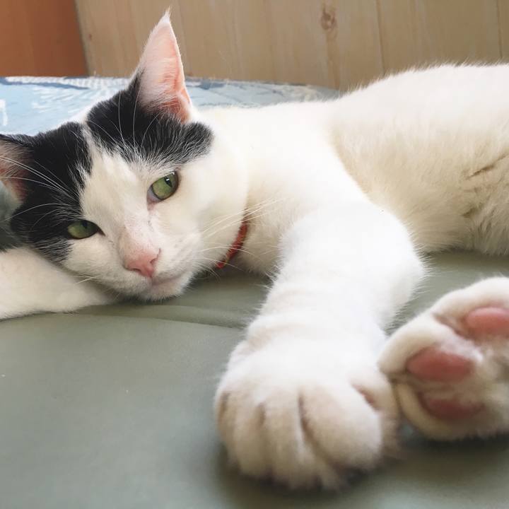 26fe6778 937c 4050 b101 8a450ef4fef3