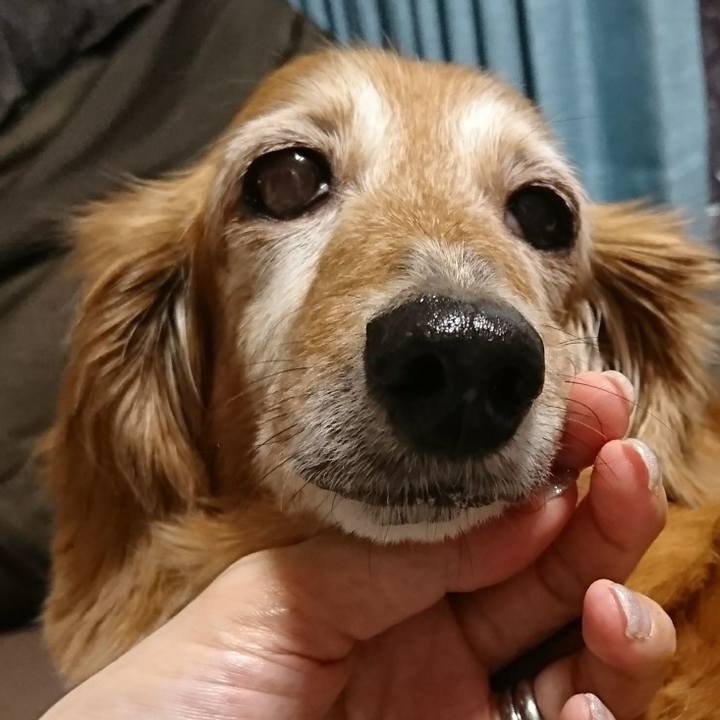 26fe75bf 3861 4bd3 859d 70d17f34e158