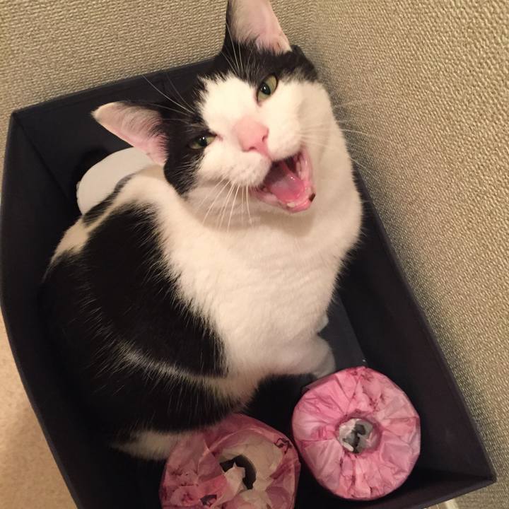 26feb67b 9b19 4246 9dc4 e7334a38cac0