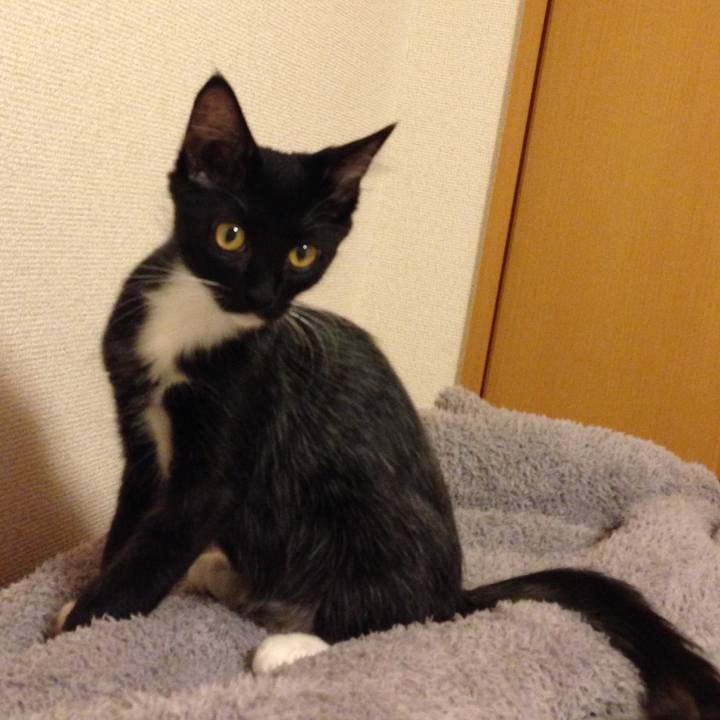 26ff8300 f971 4ce4 ad43 56067ca869ee