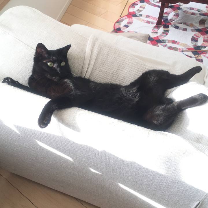 26fffef3 4d3f 4605 8030 3c9ffb58e2dc