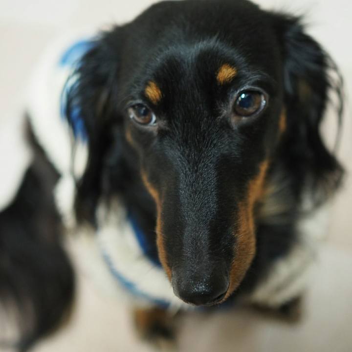 270034af 523b 44b7 844c 7da1b513d3fc